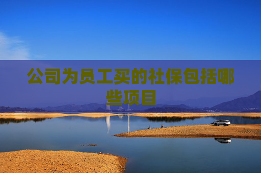 公司为员工买的社保包括哪些项目