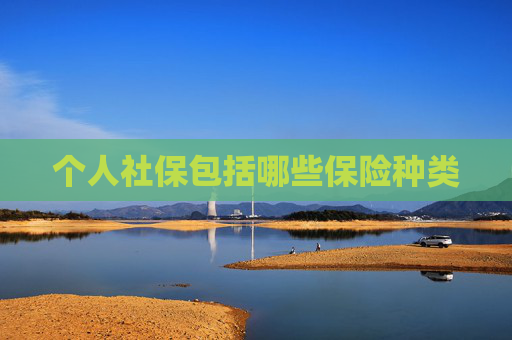 个人社保包括哪些保险种类