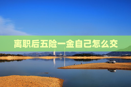 离职后五险一金自己怎么交