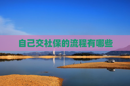 自己交社保的流程有哪些