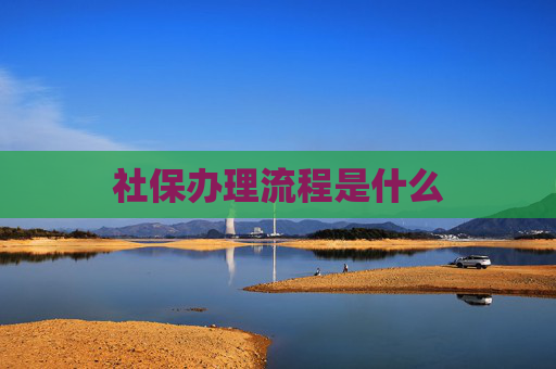 社保办理流程是什么