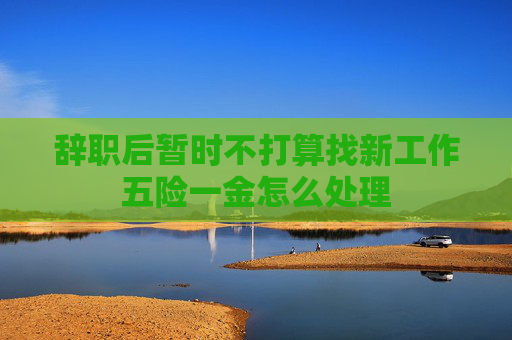 辞职后暂时不打算找新工作五险一金怎么处理