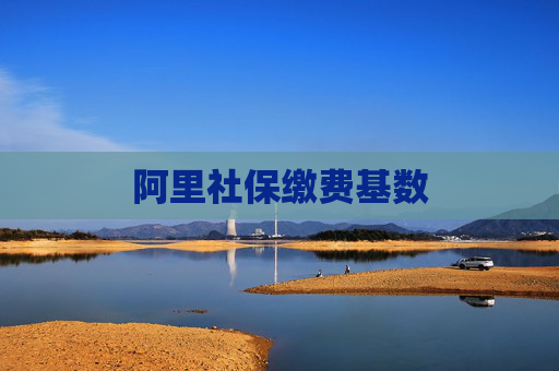 阿里社保缴费基数