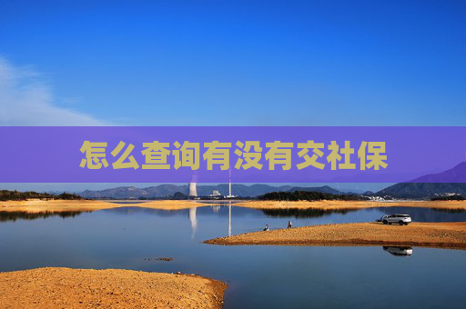 怎么查询有没有交社保
