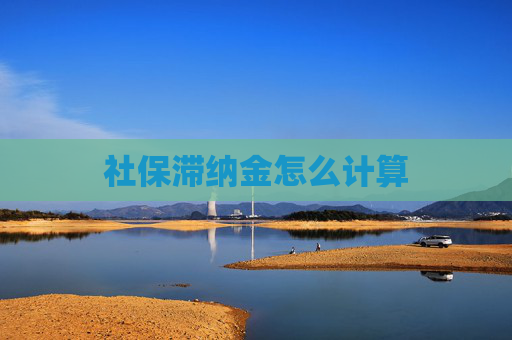 社保滞纳金怎么计算