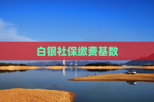 白银社保缴费基数