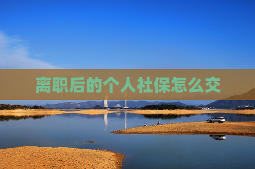 离职后的个人社保怎么交