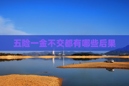 五险一金不交都有哪些后果