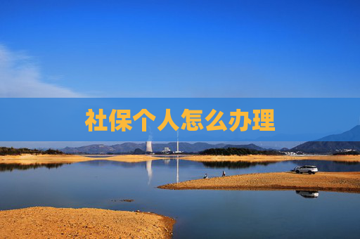 社保个人怎么办理