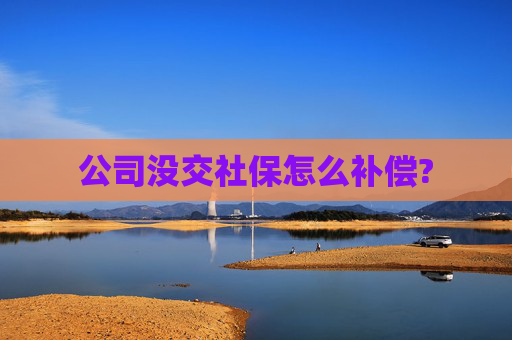 公司没交社保怎么补偿?