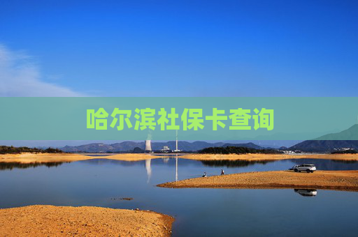 哈尔滨社保卡查询