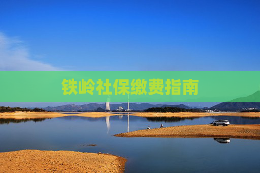 铁岭社保缴费指南
