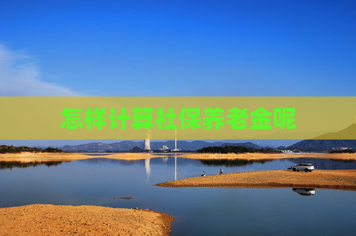 怎样计算社保养老金呢