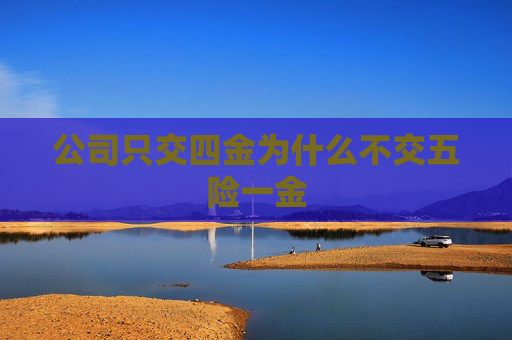 公司只交四金为什么不交五险一金