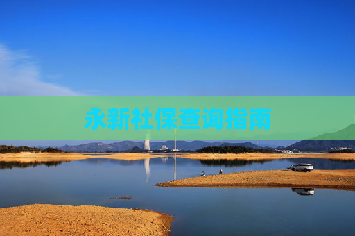 永新社保查询指南