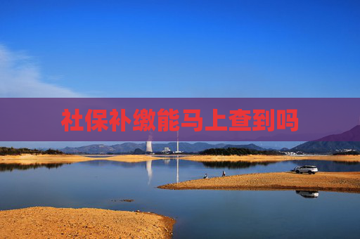 社保补缴能马上查到吗