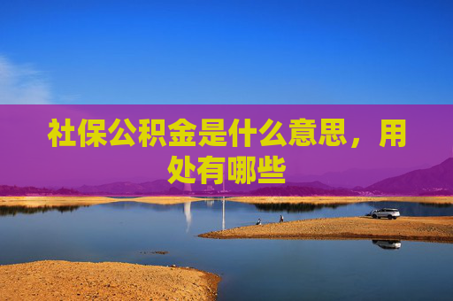 社保公积金是什么意思，用处有哪些
