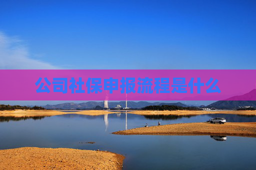 公司社保申报流程是什么