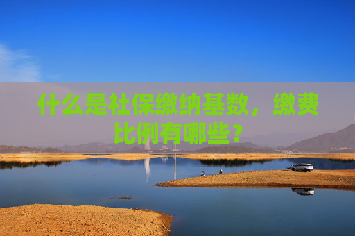 什么是社保缴纳基数，缴费比例有哪些？