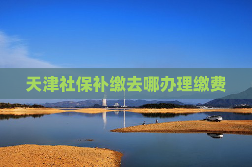 天津社保补缴去哪办理缴费