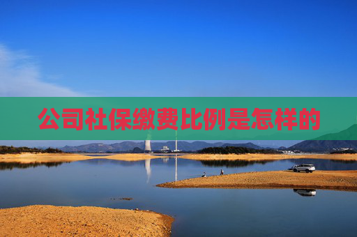 公司社保缴费比例是怎样的