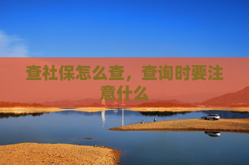 查社保怎么查，查询时要注意什么
