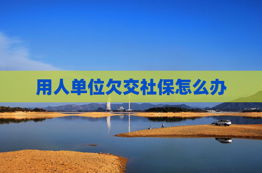 用人单位欠交社保怎么办