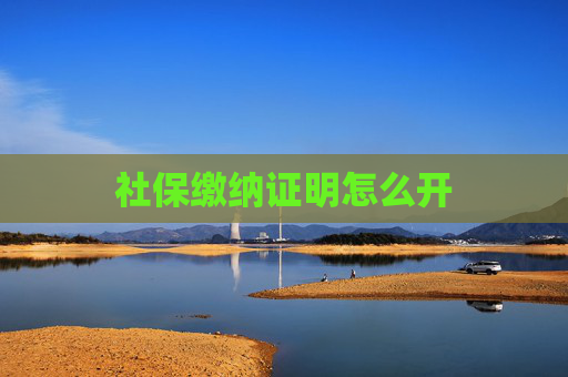社保缴纳证明怎么开