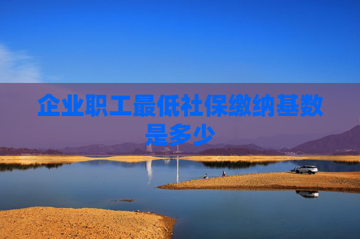 企业职工最低社保缴纳基数是多少