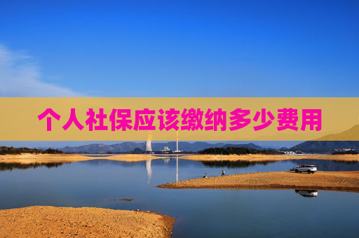 个人社保应该缴纳多少费用