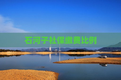 石河子社保缴费比例