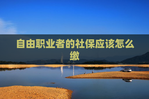 自由职业者的社保应该怎么缴