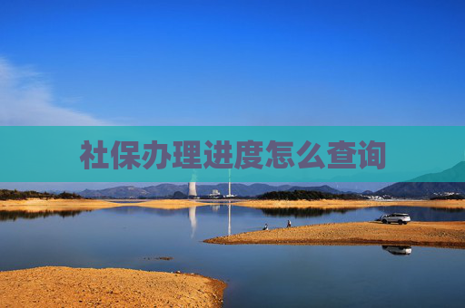 社保办理进度怎么查询