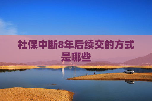 社保中断8年后续交的方式是哪些