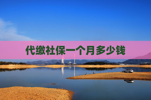 代缴社保一个月多少钱
