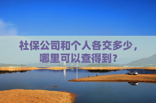 社保公司和个人各交多少，哪里可以查得到？