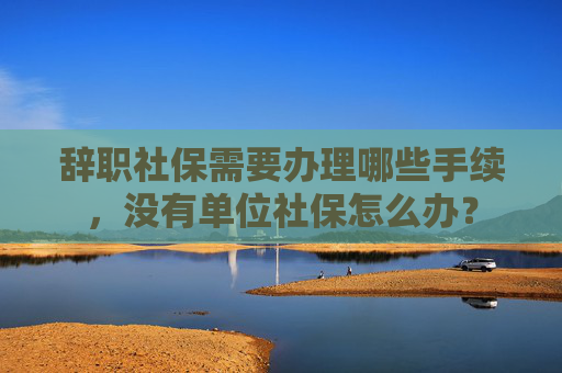 辞职社保需要办理哪些手续，没有单位社保怎么办？