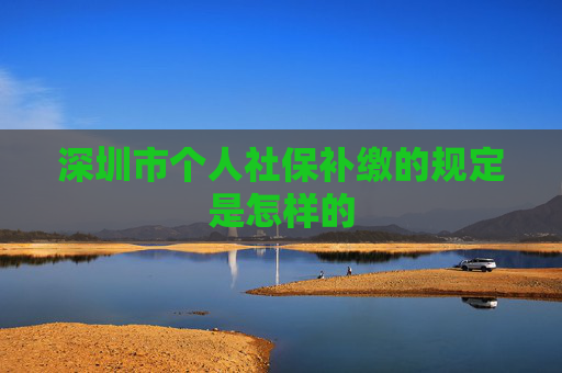 深圳市个人社保补缴的规定是怎样的