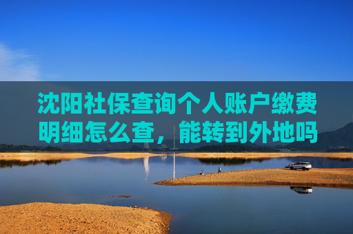 沈阳社保查询个人账户缴费明细怎么查，能转到外地吗？