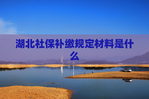 湖北社保补缴规定材料是什么