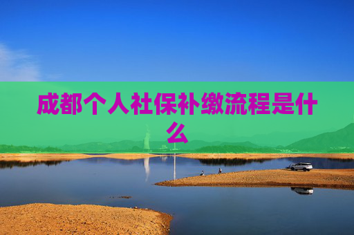 成都个人社保补缴流程是什么