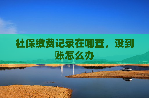 社保缴费记录在哪查，没到账怎么办