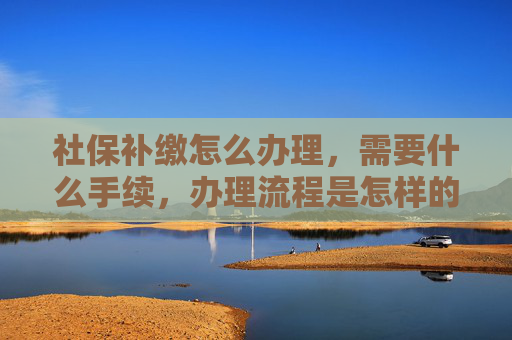 社保补缴怎么办理，需要什么手续，办理流程是怎样的