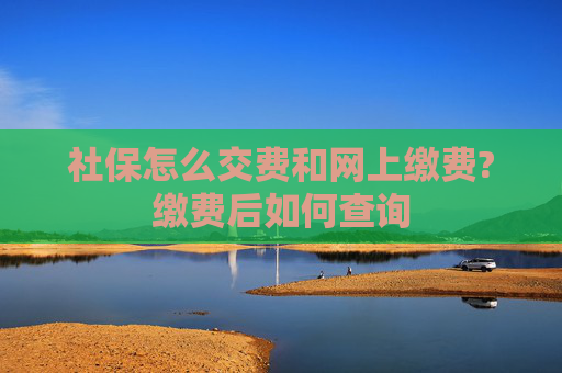 社保怎么交费和网上缴费?缴费后如何查询