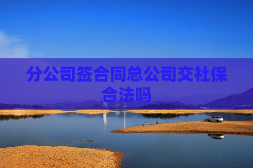 分公司签合同总公司交社保合法吗