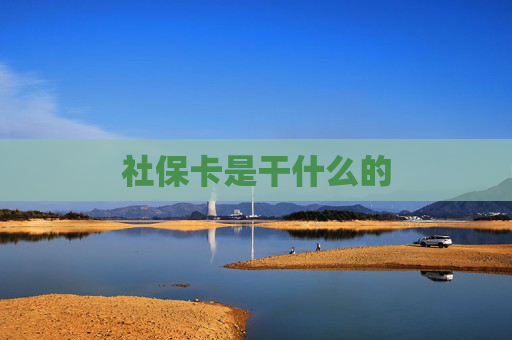 社保卡是干什么的