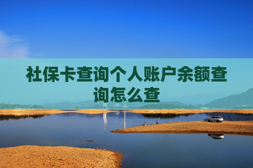 社保卡查询个人账户余额查询怎么查