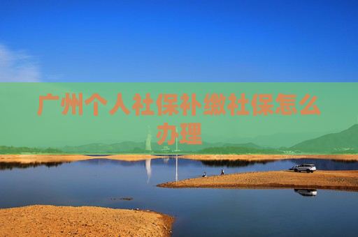 广州个人社保补缴社保怎么办理