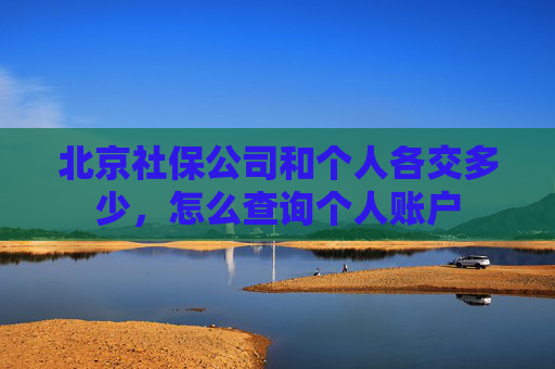 北京社保公司和个人各交多少，怎么查询个人账户