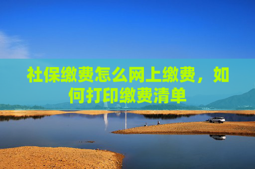 社保缴费怎么网上缴费，如何打印缴费清单